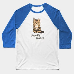 Patiently Waiting Cat Baseball T-Shirt